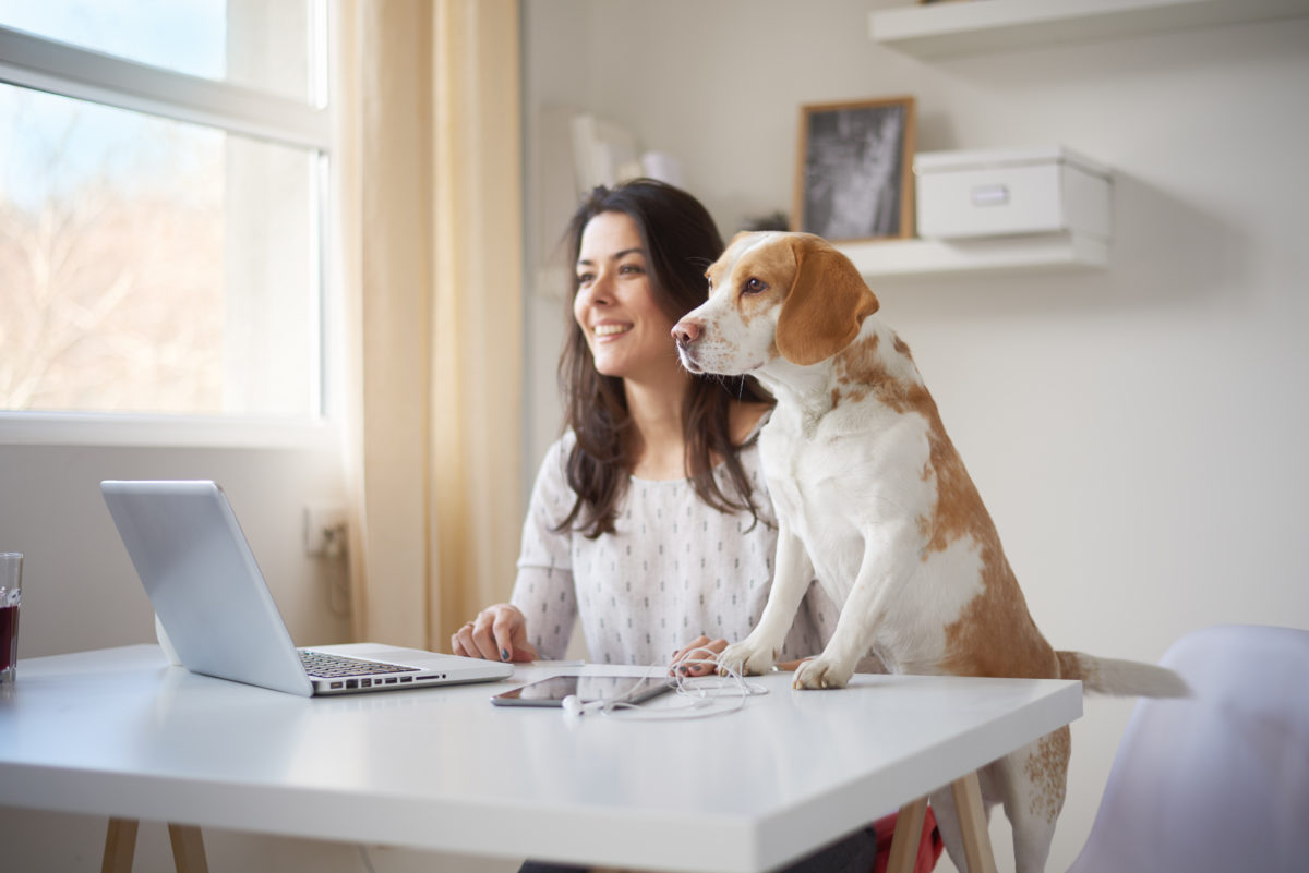 Businesswoman sitting at a desk with her laptop looking through window with her dog in home office .